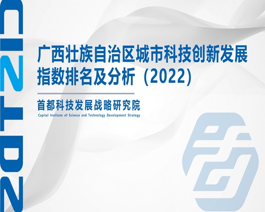 尿骚操操操【成果发布】广西壮族自治区城市科技创新发展指数排名及分析（2022）